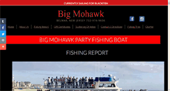 Desktop Screenshot of bigmohawk.com